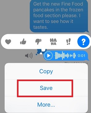 Save the Audio Message on iphone