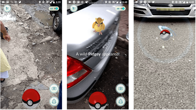 bumper-to-bumper traffic to hatch eggs