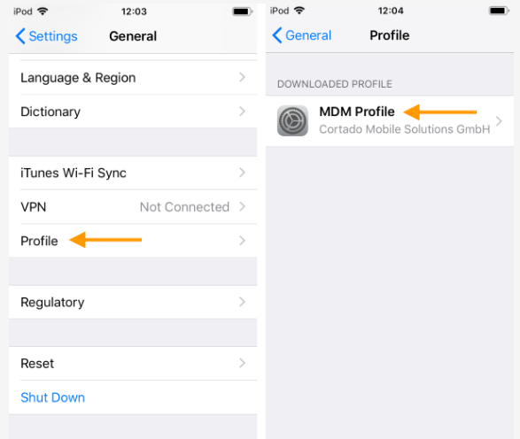 apple ios mdm