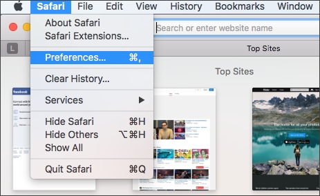 choose preferences on Safari