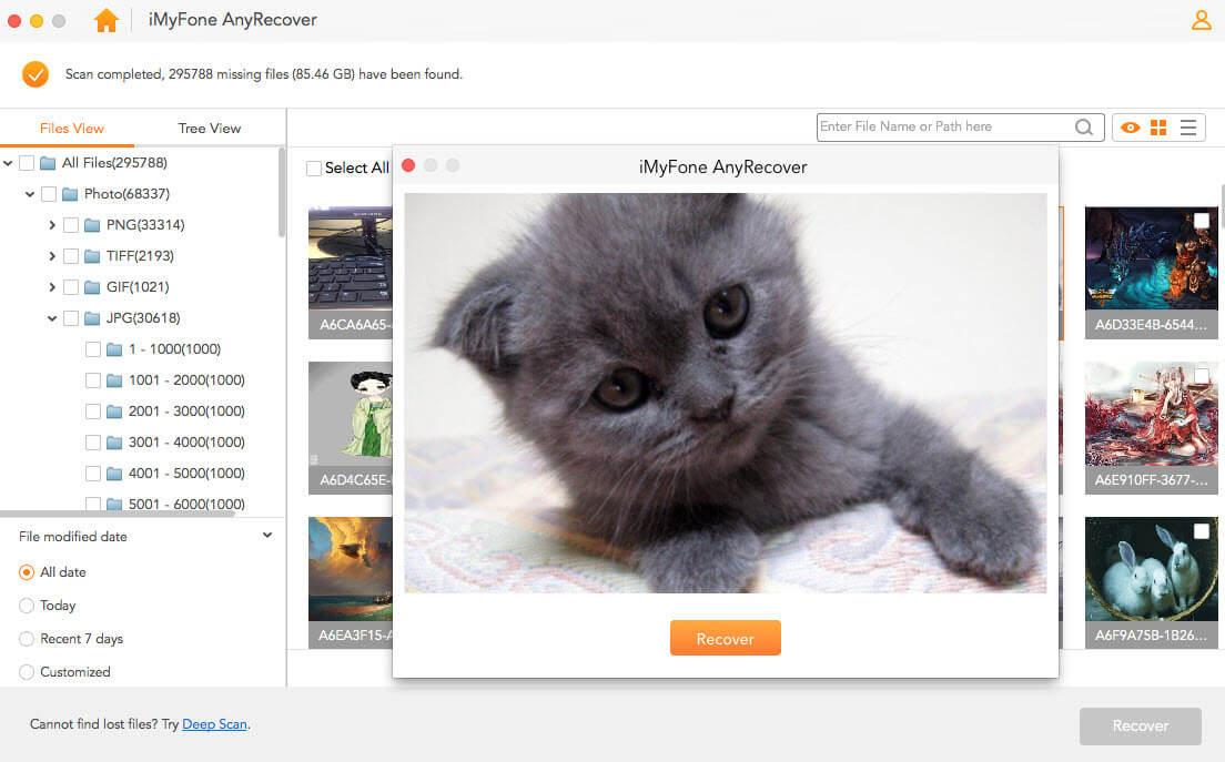 AnyRecover Mac Data Recovery - Scanned Files Preview