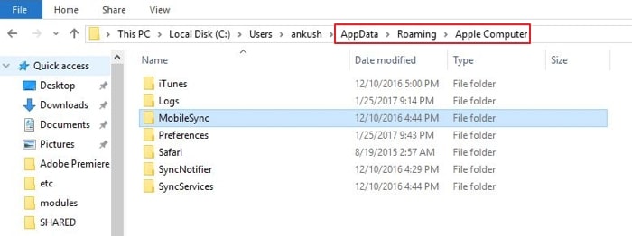 ibackupbot itunes backup folder not found