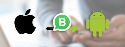 transfer whatsapp business from iphone to android