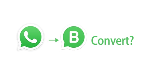 whatsapp to whatsapp business convert