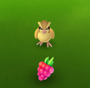 Pokémon GO Regional Farfetch'd FAST DELIVERY + SAFE