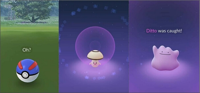 How to catch ditto in Pokemon Go, Easy way to find ditto