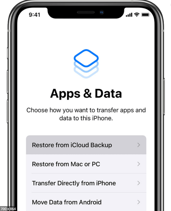 Restore from iCloud backup