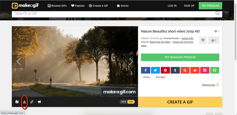 makegif create gif