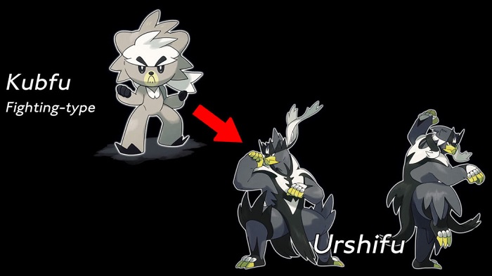 Pokémon Sword/Shield Isle of Armor guide: How to evolve Kubfu into Urshifu  - Polygon