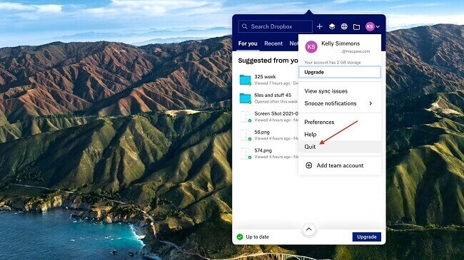 dropbox quit option