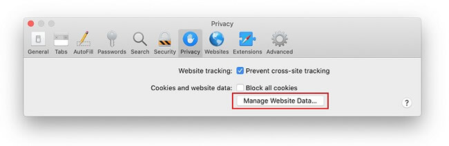manage safari website data
