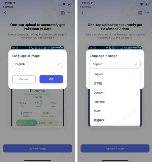 current supported language