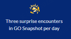 go-fest-2025-3-surprise-encounters-daily