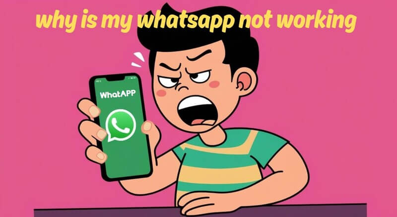 why is my whatsapp not working
