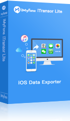 export ios safari history