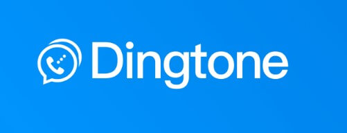 Real Phone Numbers as A Second Line in DIngtone