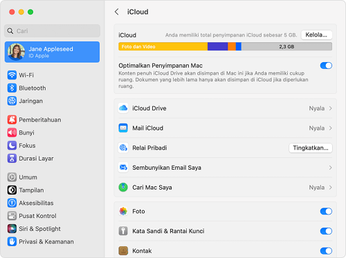 ssee icloud storage on mac
