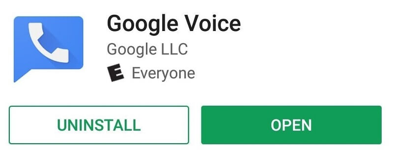 google voice