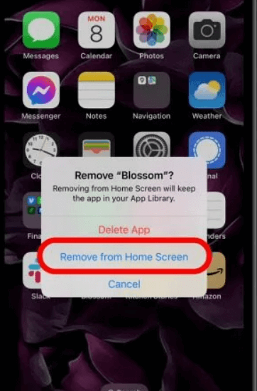 remove from home screen