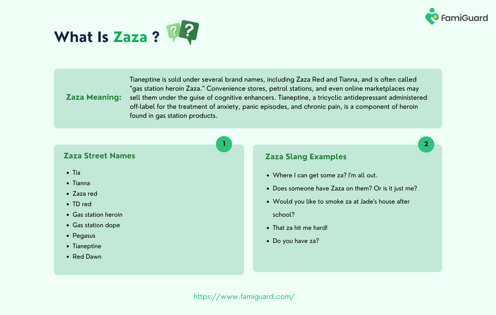 What Is Zaza Infographic