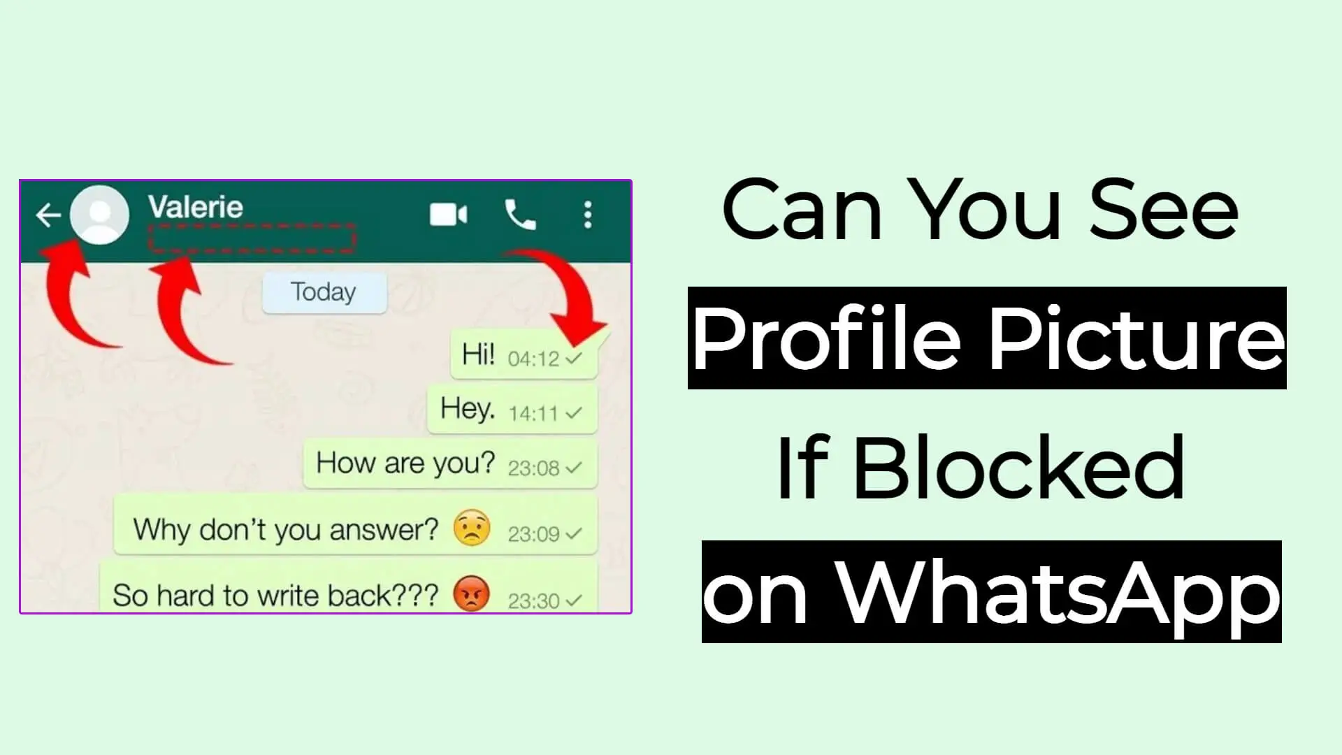 Can You See Profile Picture If Blocked on WhatsApp Tips & Tricks