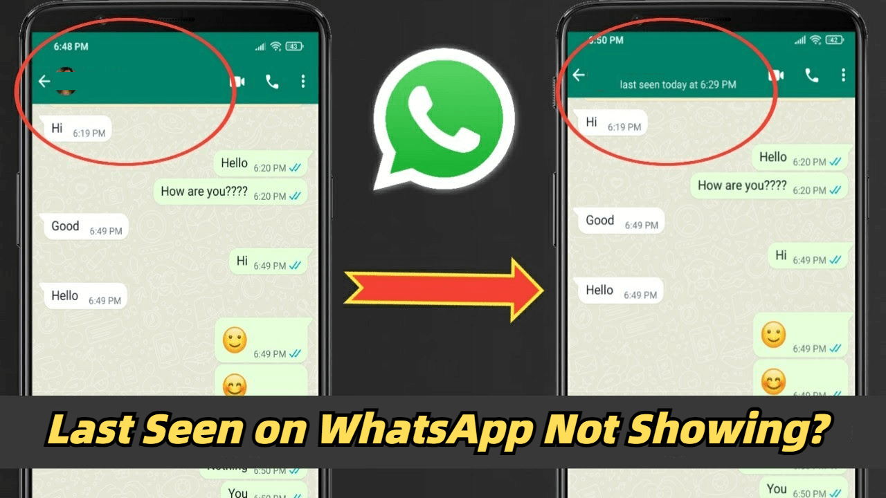 last seen on whatsapp not showing