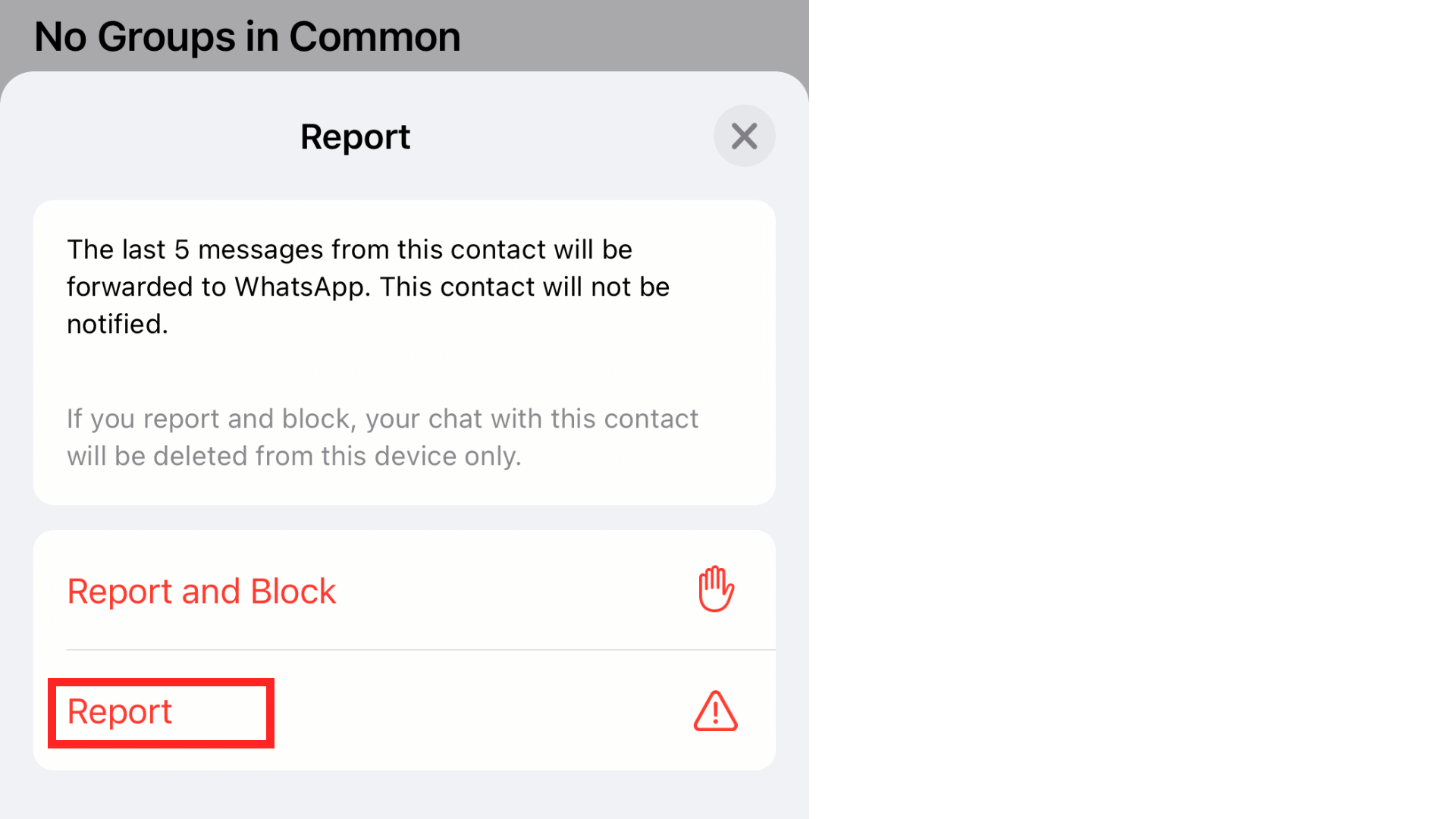 only report contact on whatsapp