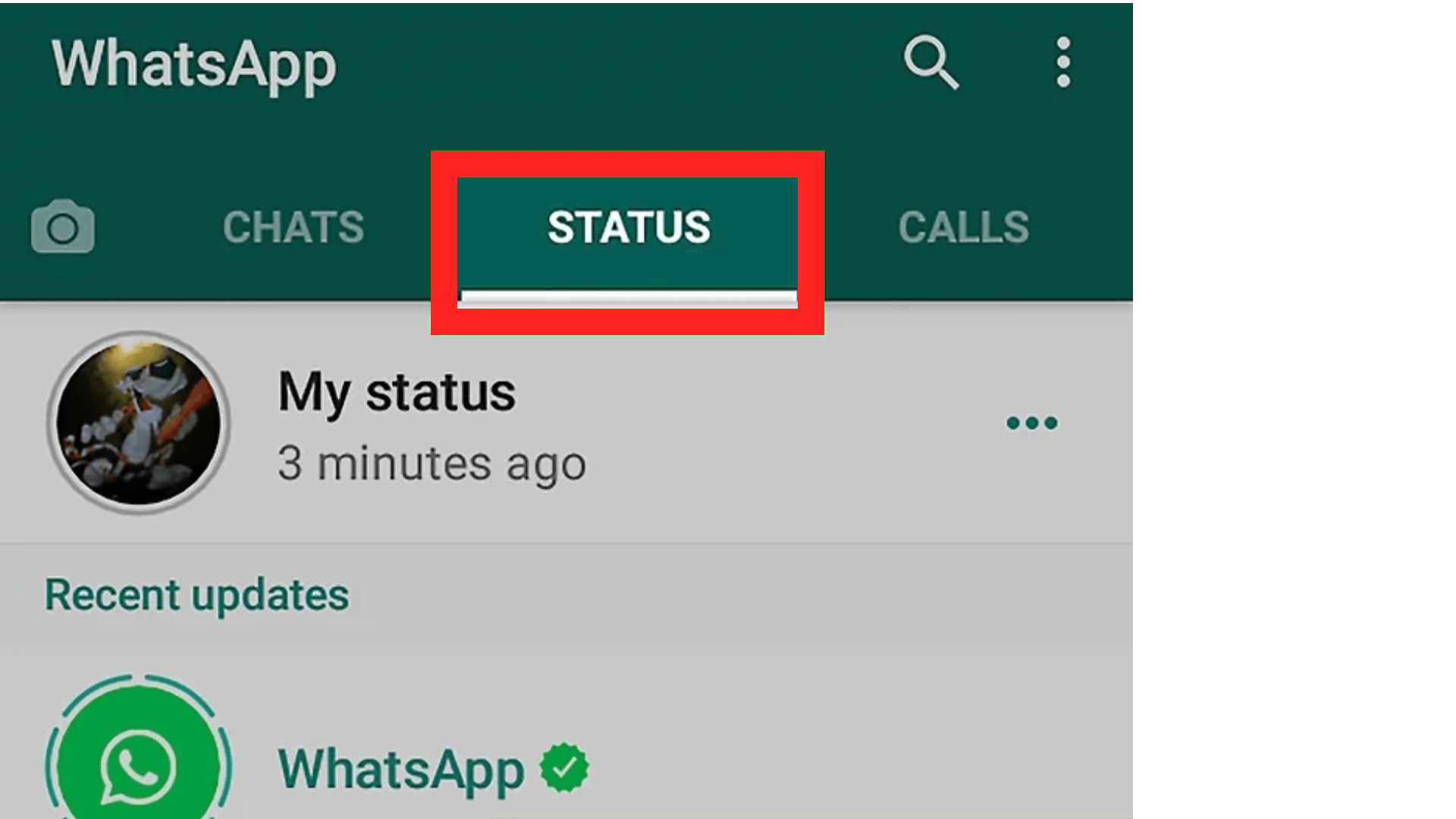 check status on whatsapp
