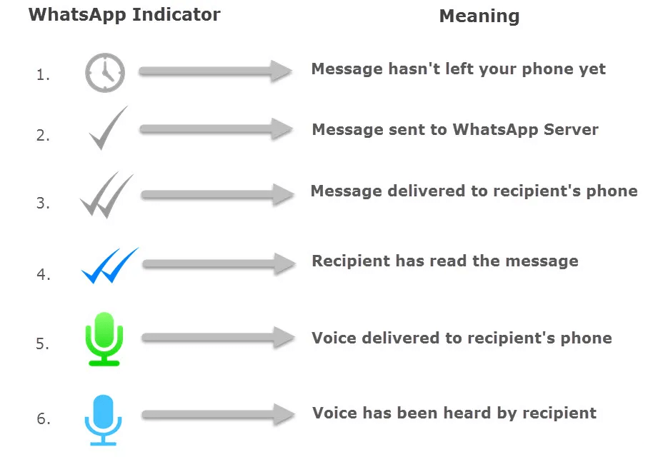 whatsapp indicators