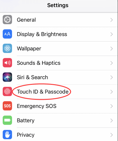 touch id & salasana