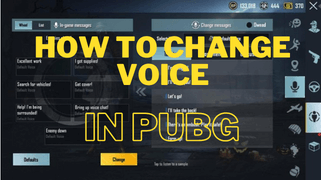 change voice in pubg
