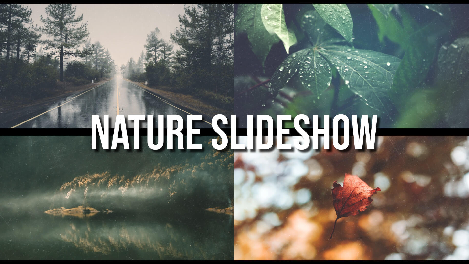 Nature-Slideshow