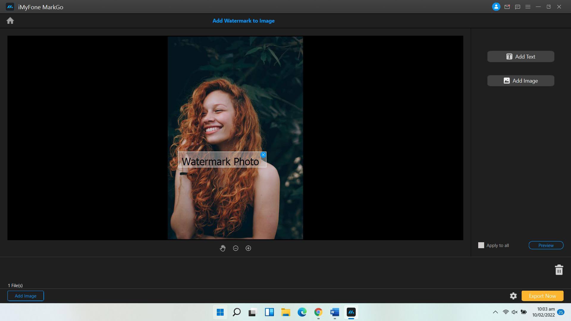 add image watermark in markgo2