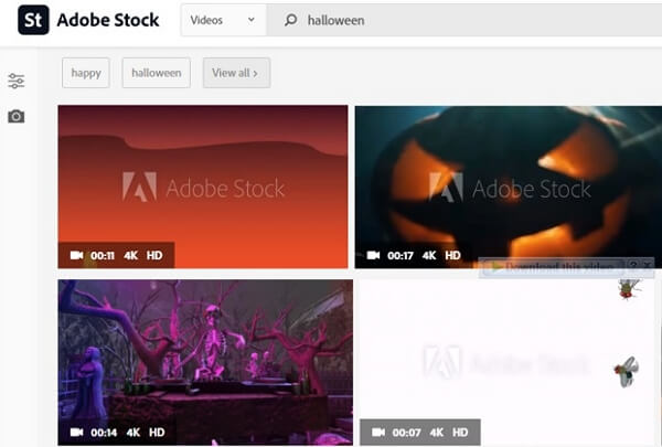 adobestock halloween background video