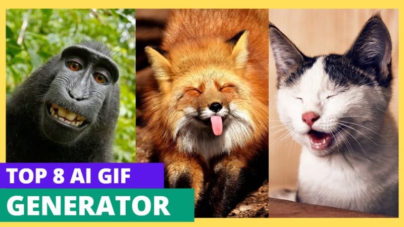 6 AI GIF Generator from Text/Image/Video/Live Photo Easily