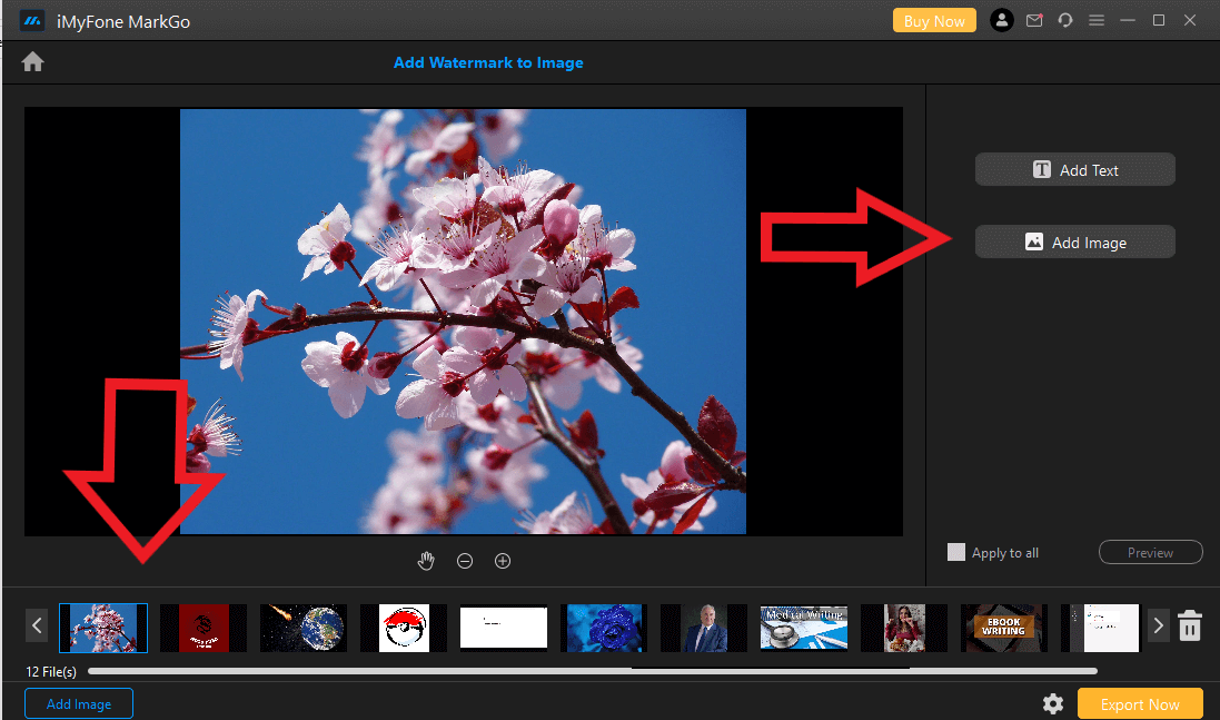 import video with watermark