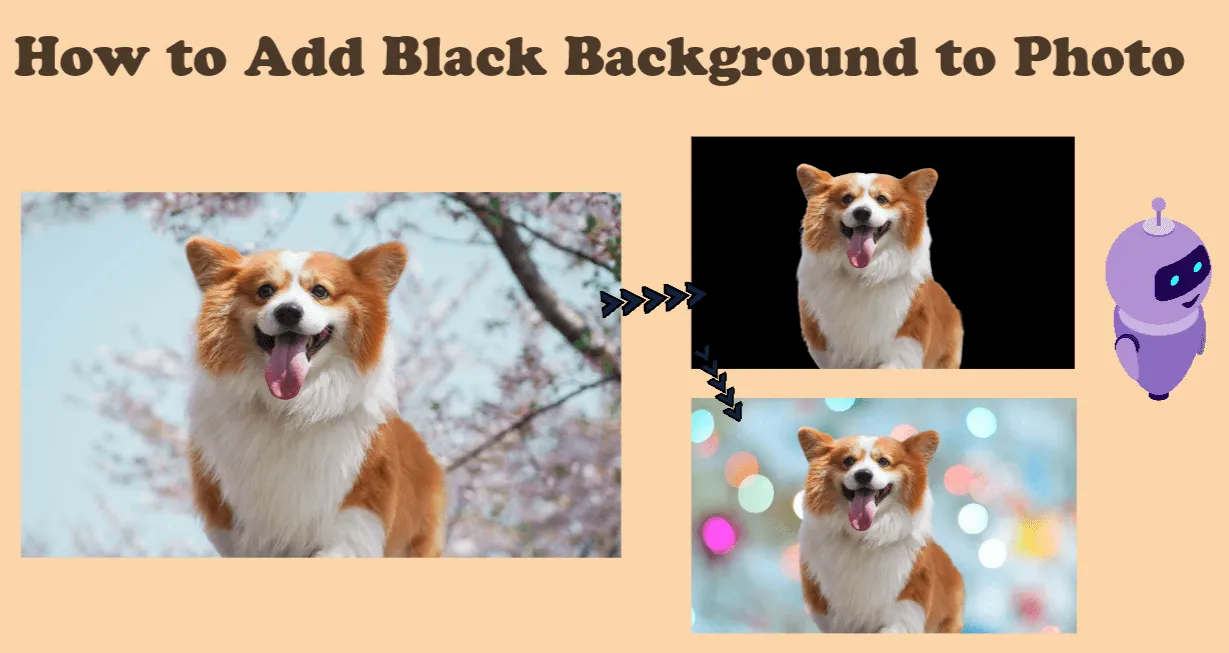 How to Add Black Background to Photo Free with AI Photo Editor