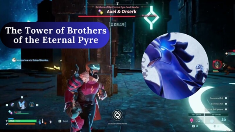 brothers of the eternal pyre