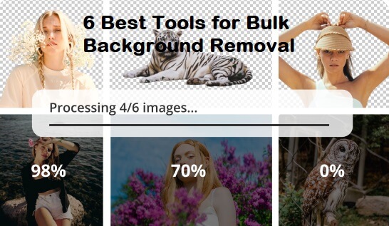 Best Bulk Image Background Remover for Win/Mac/Online [2023]