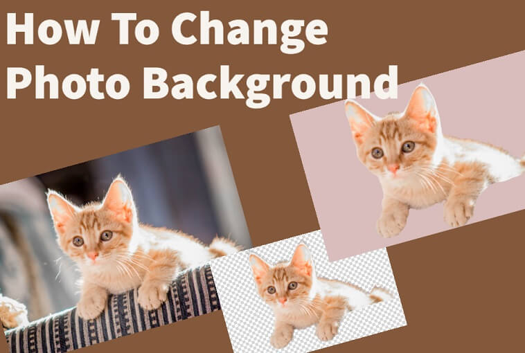 Change Image Background Online with Useful Tool