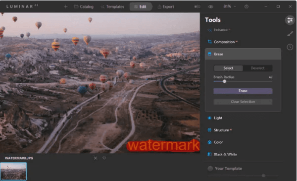 remove video watermark using markgo