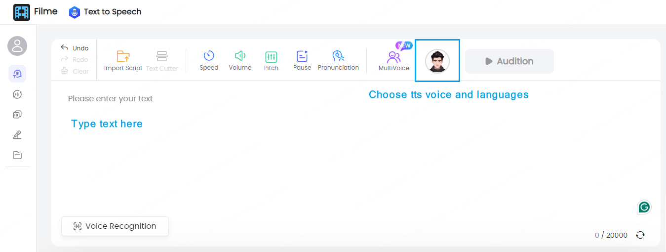 choose tts voice and language