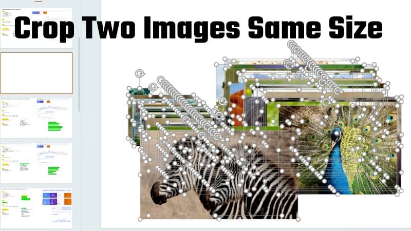 crop images to same size