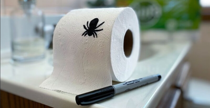 diy toilet paper roll surprise