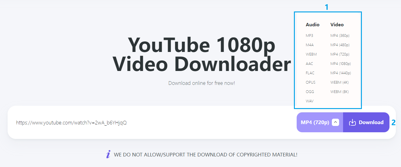 download youtube video online free with downloaderto