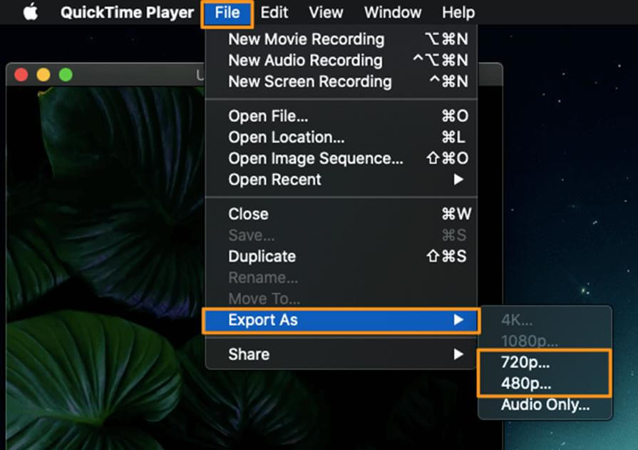 how to extract audio from video quicktime