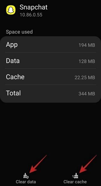 clear snap cache and date