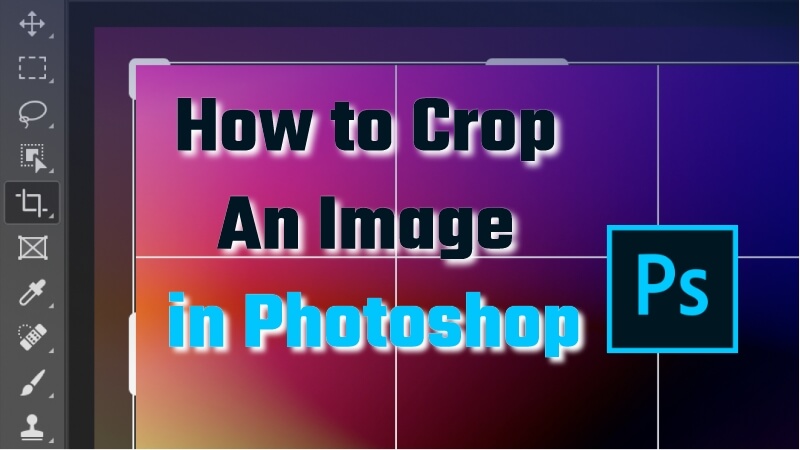 How To Crop An Image In Photoshop Steps Tips 