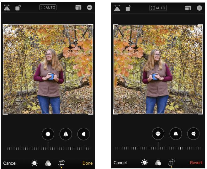 how to flip image in iphone