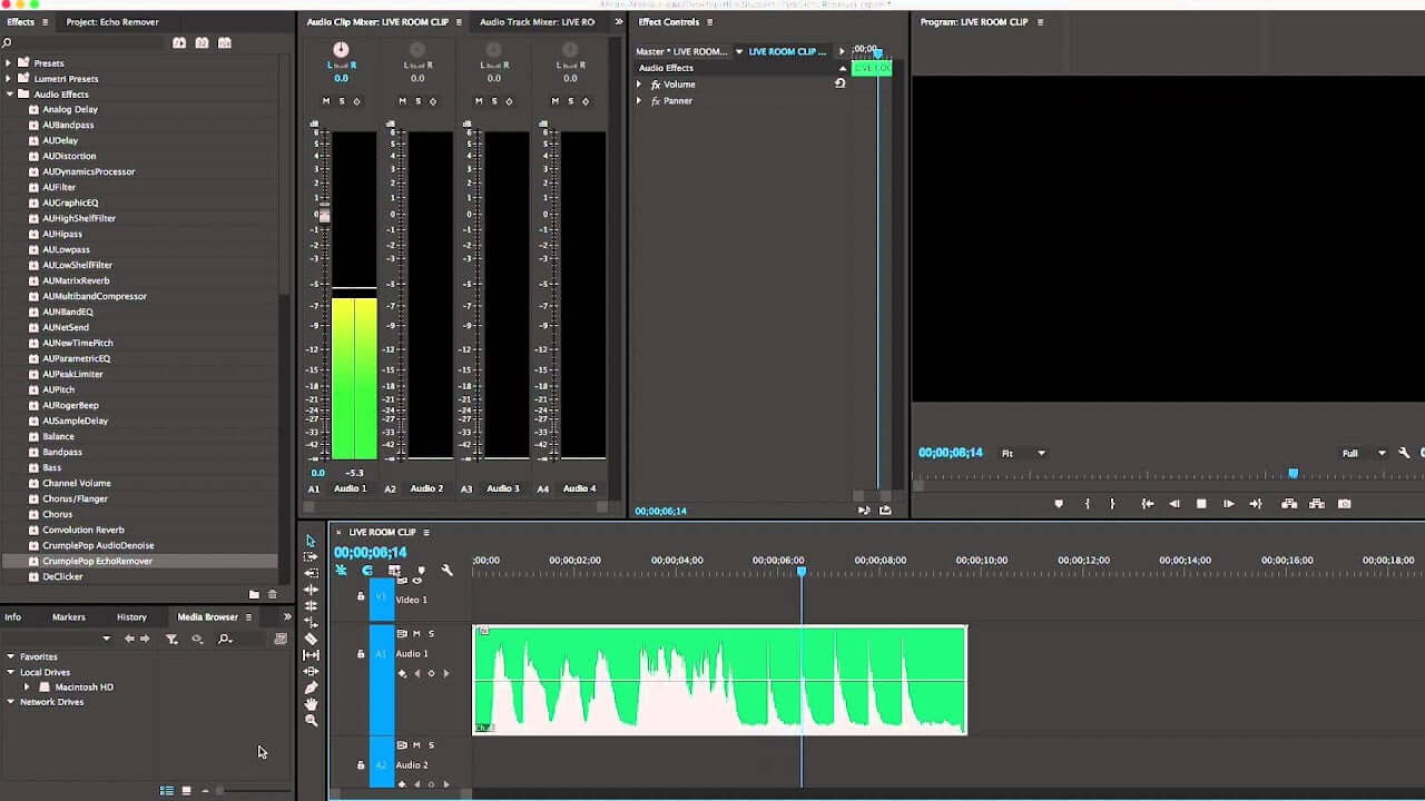 How to Remove Echo from Audio using EchoRemover